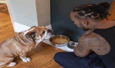 Lewis Hamilton has invested in fresh food plant-based dog food. Image credit: Bramble