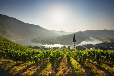 Vineyards in Germany. Pic: getty/jorggruel