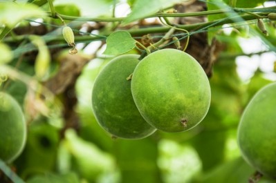 Capri Sun turns to monk fruit to cut sugar by 40%