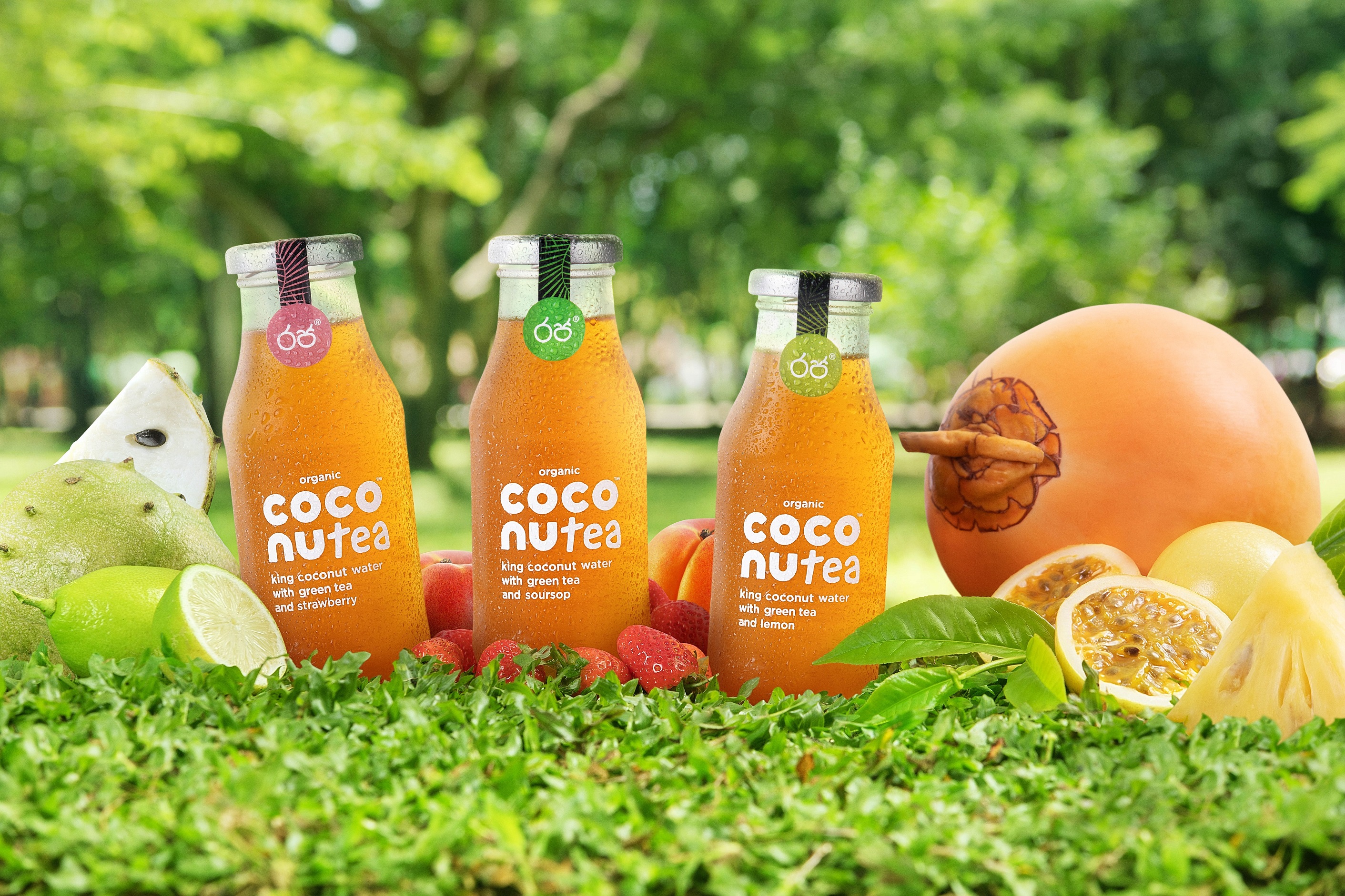 https://www.beveragedaily.com/var/wrbm_gb_food_pharma/storage/images/media/images/coconutea-launch-range-of-king-coconut-and-green-tea-drinks/16303546-1-eng-GB/Coconutea-Launch-range-of-King-Coconut-and-Green-Tea-drinks.jpg